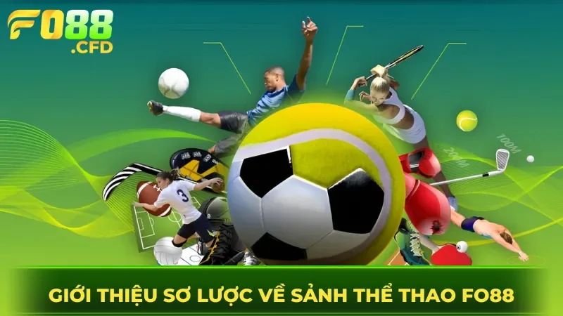 Giới thiệu sơ lược về sảnh thể thao FO88